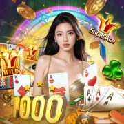Wjcasino-8